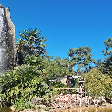 Apartment Bel Proche